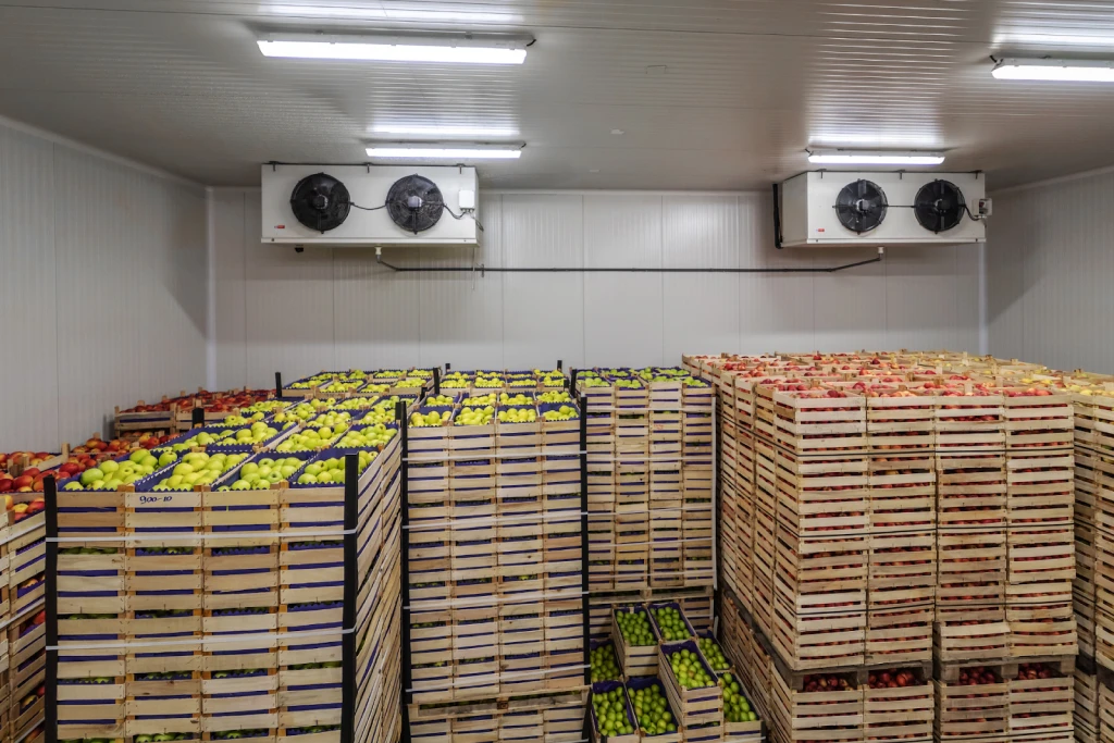 Cases of fresh fruit in the back of a temperature-controlled truck