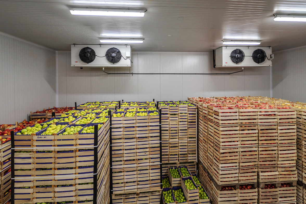 Cases of fresh fruit in the back of a temperature-controlled truck