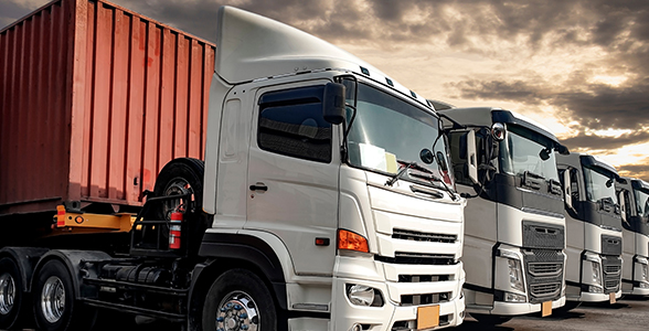 White freight trucks in a line against an outdoor sky backdrop