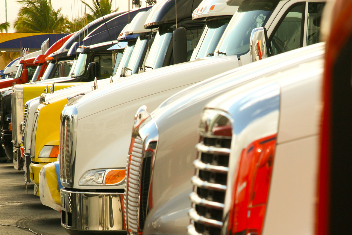 Different types of trucks lined up in a row