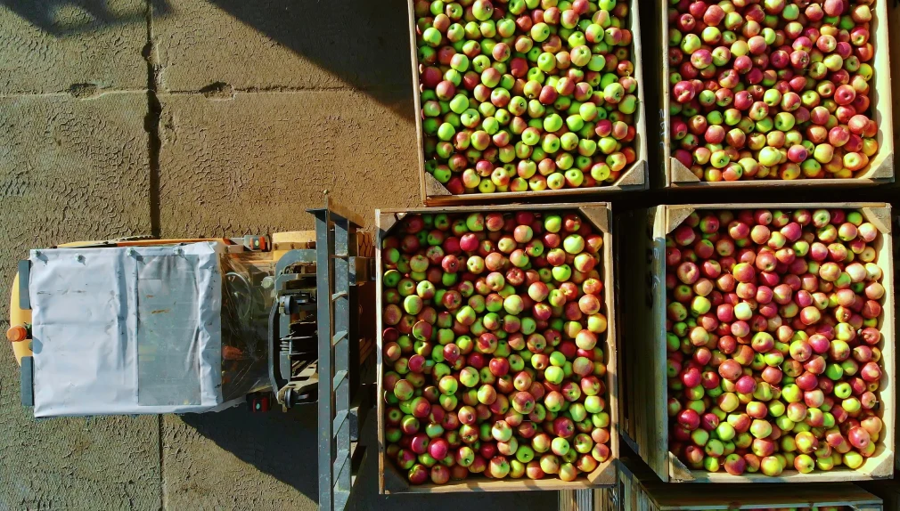 Ingredients & Raw Materials - Brew Movers